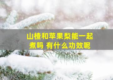 山楂和苹果梨能一起煮吗 有什么功效呢